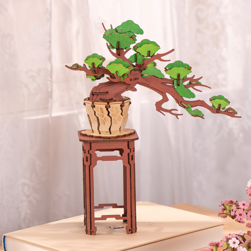 Immergrüner Kiefernbonsai - 3D Holzpuzzle