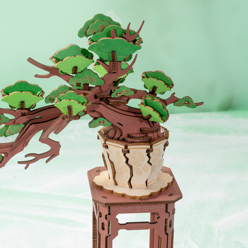 Immergrüner Kiefernbonsai - 3D Holzpuzzle