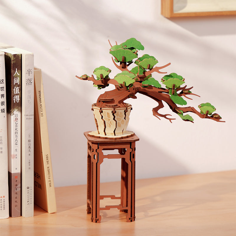 Immergrüner Kiefernbonsai - 3D Holzpuzzle
