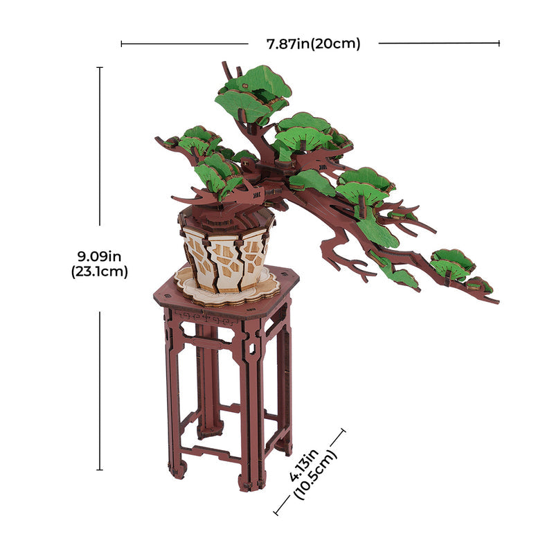 Immergrüner Kiefernbonsai - 3D Holzpuzzle