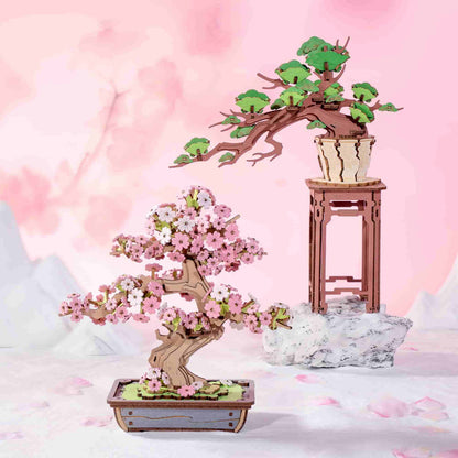 Immergrüner Kiefernbonsai - 3D Holzpuzzle